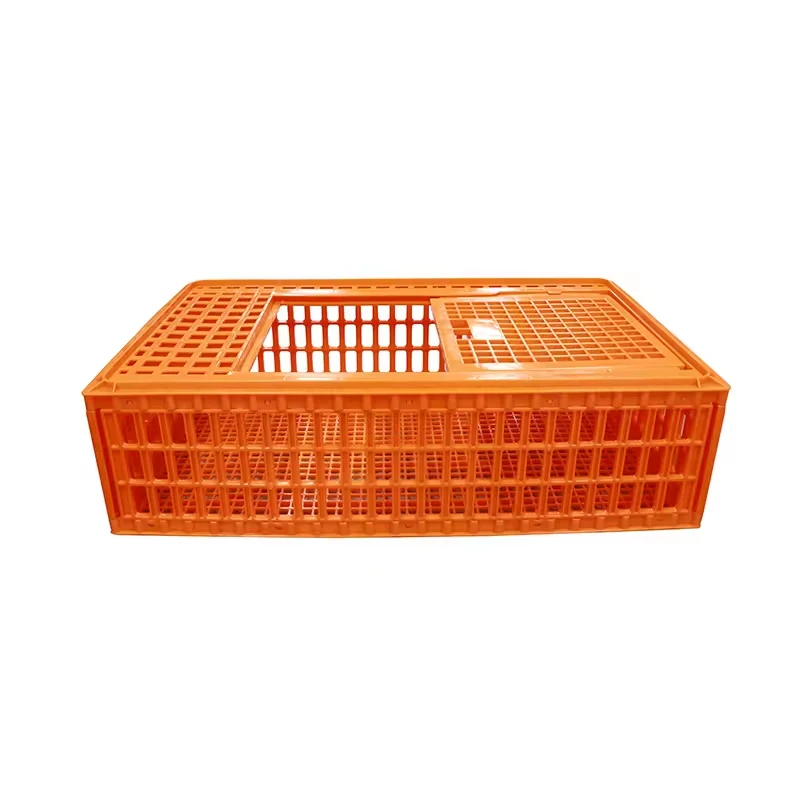 Plastic vs Wooden Chicken Transport Crates: Which Is Better for Poultry Farms