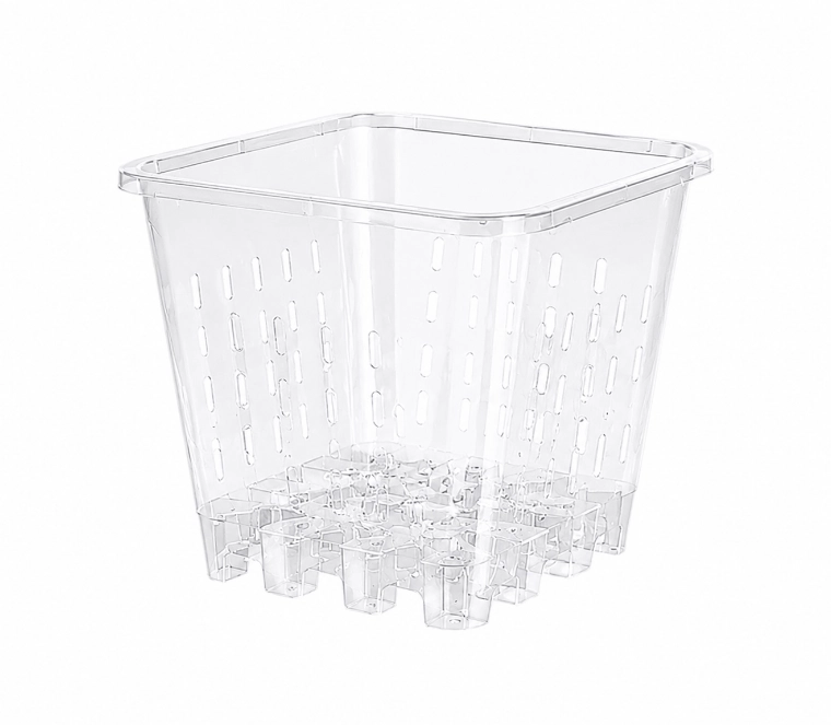 Are Clear Plastic Nursery Pots Better for Plant Growth?