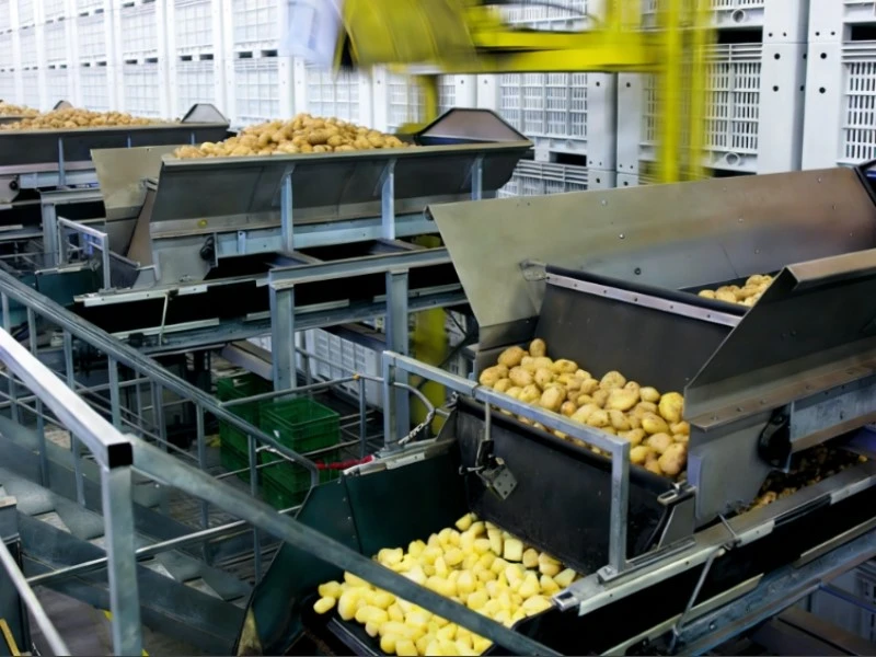 Food Supply Chain Operators Food Supply Chain Operators