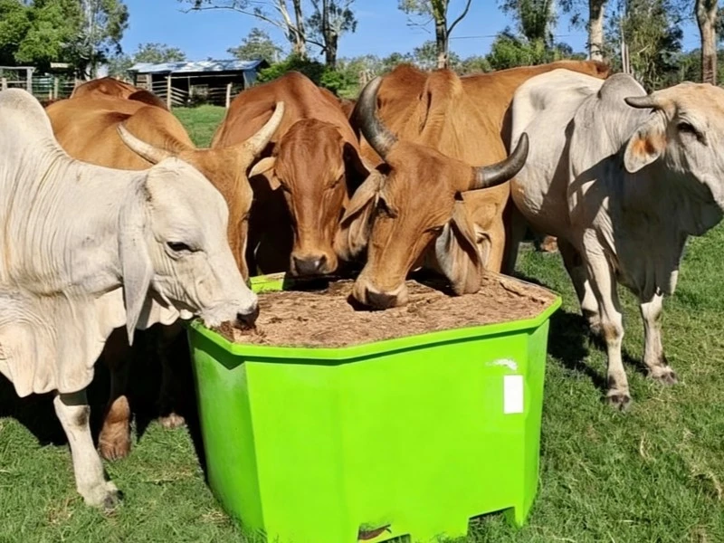 Livestock Farm Owners Livestock Farm Owners