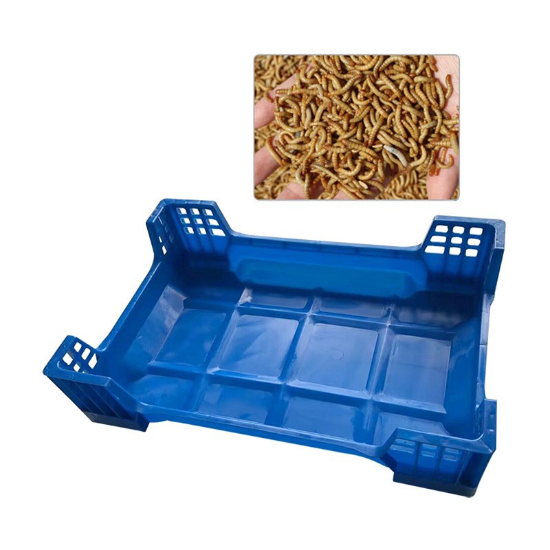 Insect Farming Tray Systems suppliers