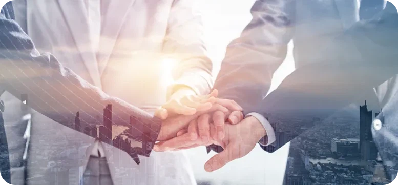 Long-Term Partnership Incentive Programs