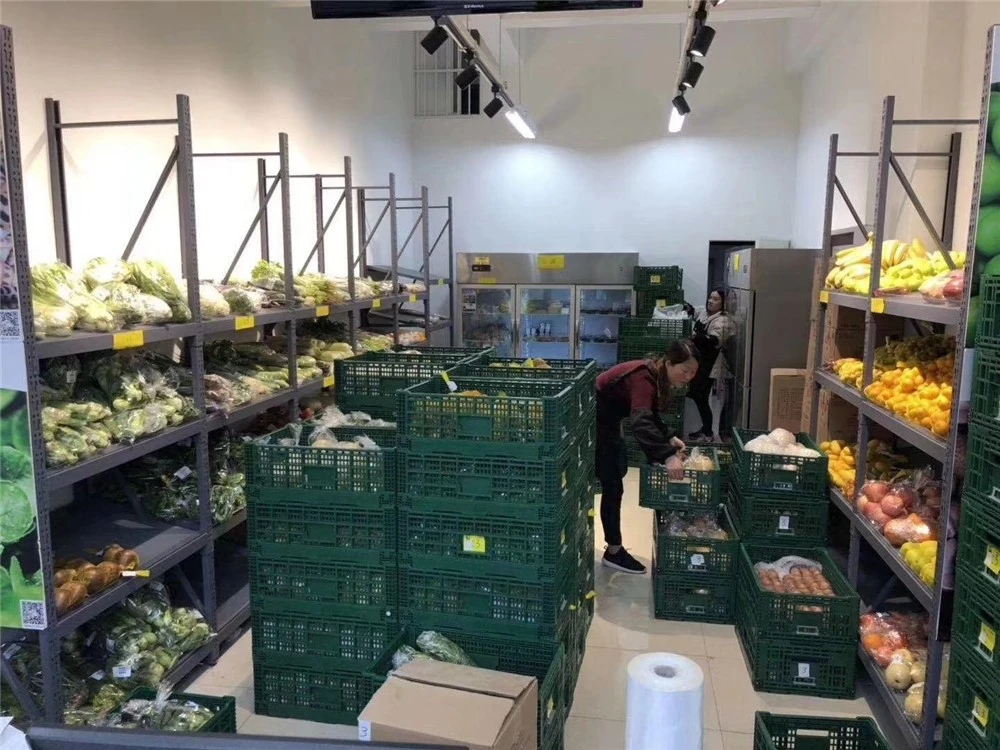 Low Profile Folding Plastic Crate for Agricultural Products Low Profile Folding Plastic Crate for Agricultural Products